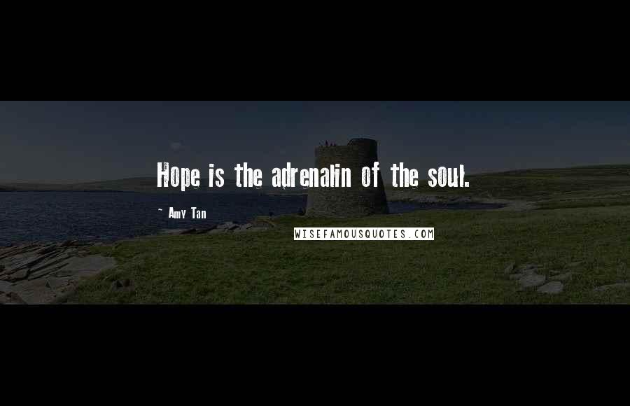 Amy Tan Quotes: Hope is the adrenalin of the soul.