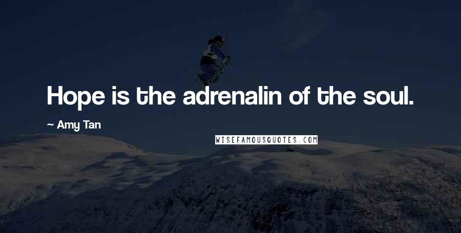 Amy Tan Quotes: Hope is the adrenalin of the soul.