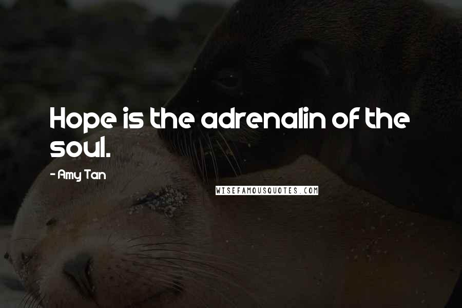 Amy Tan Quotes: Hope is the adrenalin of the soul.