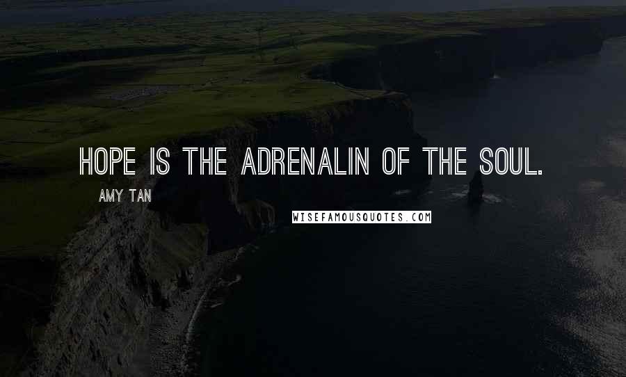 Amy Tan Quotes: Hope is the adrenalin of the soul.