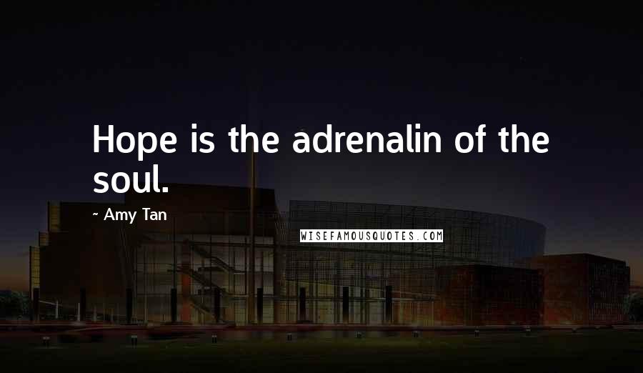 Amy Tan Quotes: Hope is the adrenalin of the soul.