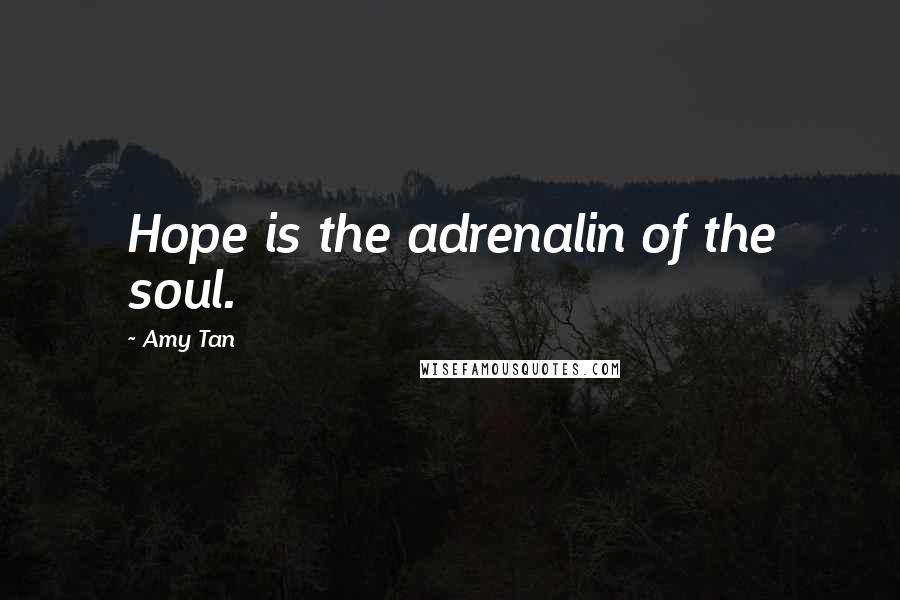 Amy Tan Quotes: Hope is the adrenalin of the soul.