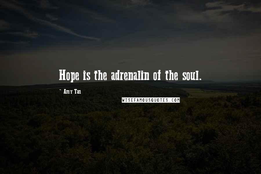 Amy Tan Quotes: Hope is the adrenalin of the soul.