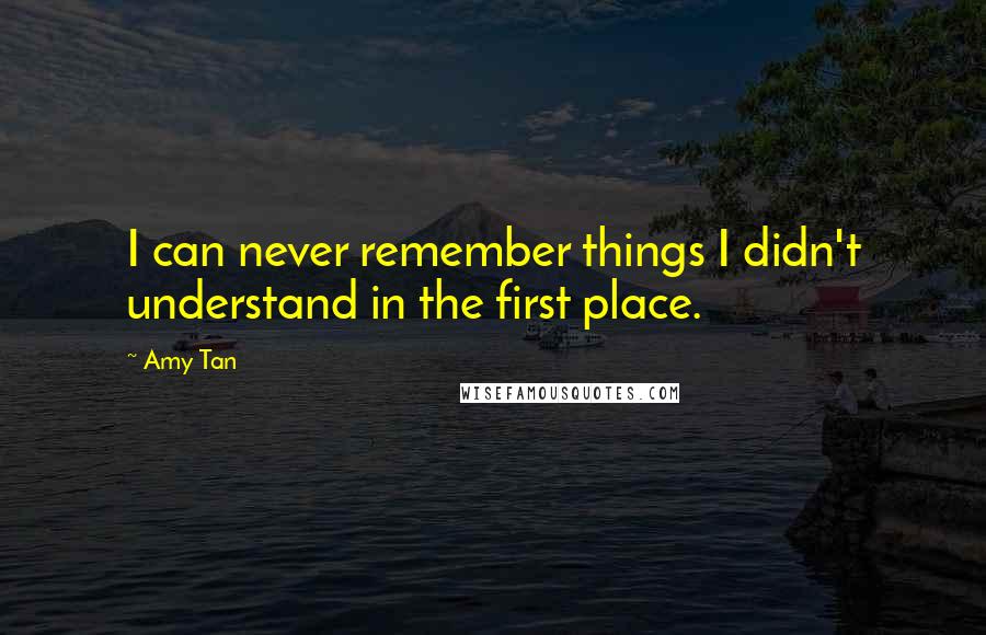 Amy Tan Quotes: I can never remember things I didn't understand in the first place.