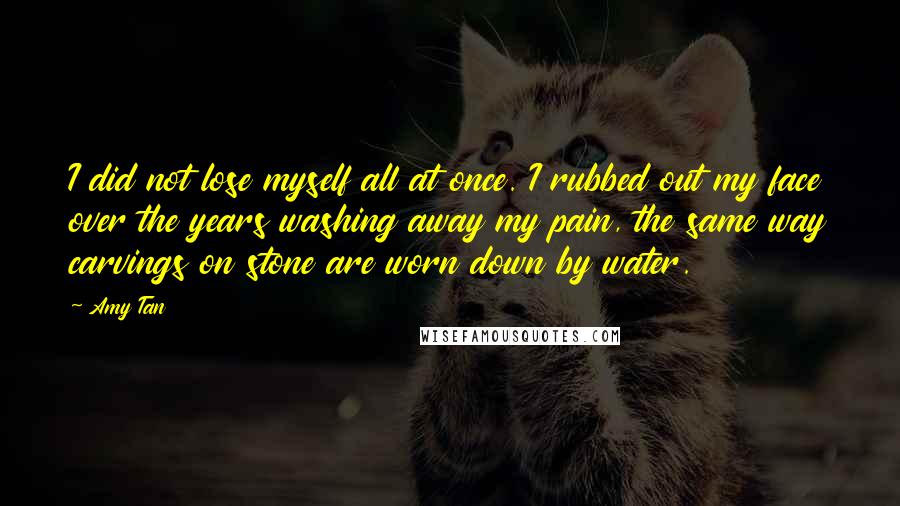 Amy Tan Quotes: I did not lose myself all at once. I rubbed out my face over the years washing away my pain, the same way carvings on stone are worn down by water.