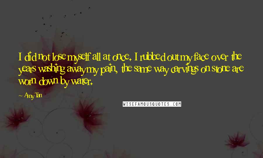 Amy Tan Quotes: I did not lose myself all at once. I rubbed out my face over the years washing away my pain, the same way carvings on stone are worn down by water.