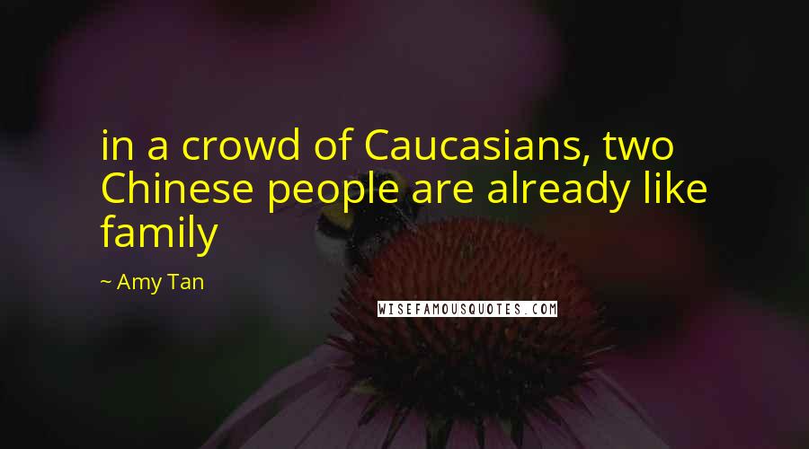 Amy Tan Quotes: in a crowd of Caucasians, two Chinese people are already like family