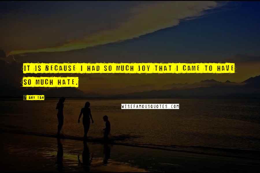 Amy Tan Quotes: It is because I had so much joy that I came to have so much hate.