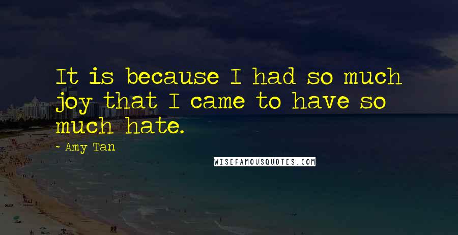 Amy Tan Quotes: It is because I had so much joy that I came to have so much hate.