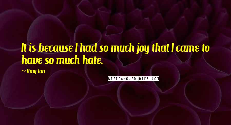 Amy Tan Quotes: It is because I had so much joy that I came to have so much hate.