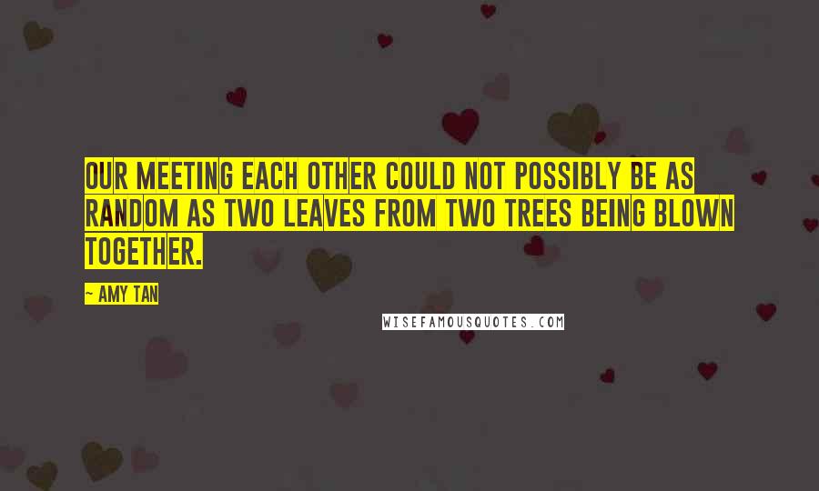 Amy Tan Quotes: Our meeting each other could not possibly be as random as two leaves from two trees being blown together.