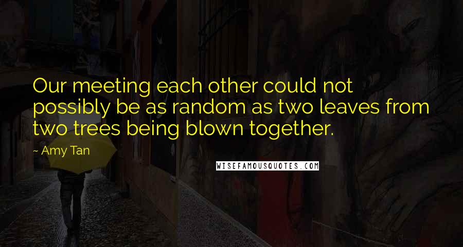 Amy Tan Quotes: Our meeting each other could not possibly be as random as two leaves from two trees being blown together.