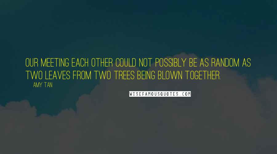 Amy Tan Quotes: Our meeting each other could not possibly be as random as two leaves from two trees being blown together.