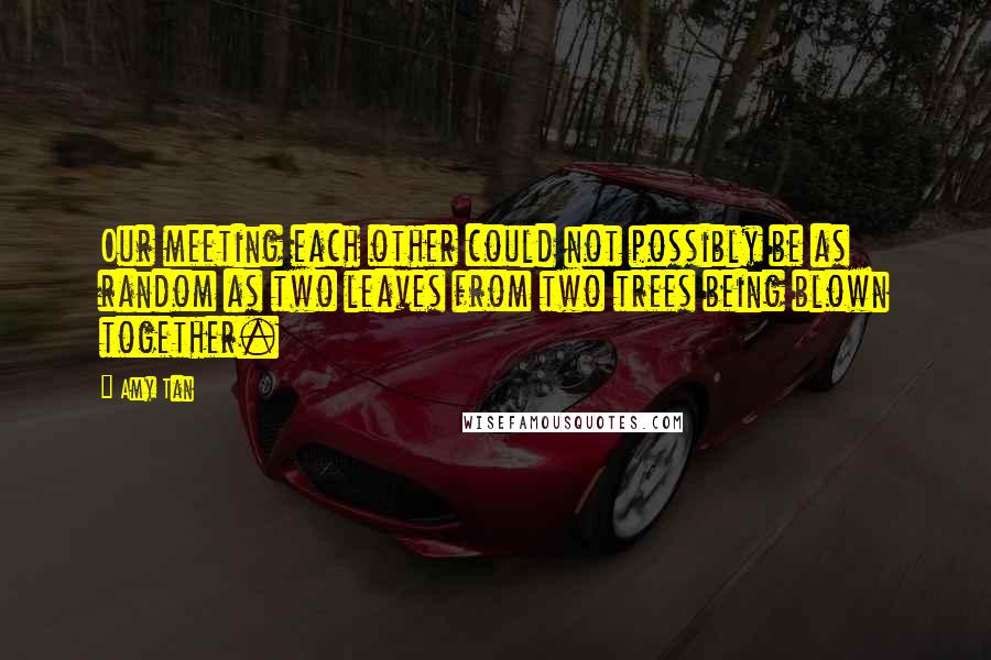 Amy Tan Quotes: Our meeting each other could not possibly be as random as two leaves from two trees being blown together.