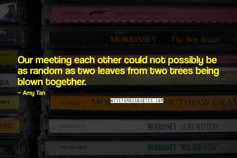 Amy Tan Quotes: Our meeting each other could not possibly be as random as two leaves from two trees being blown together.