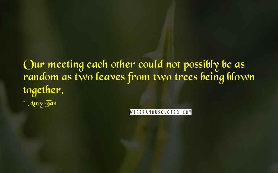 Amy Tan Quotes: Our meeting each other could not possibly be as random as two leaves from two trees being blown together.