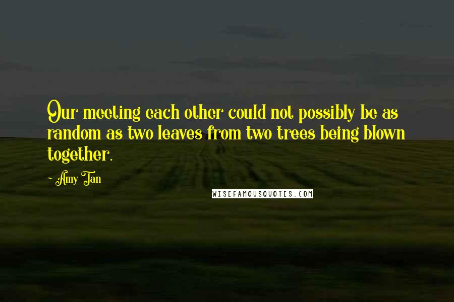 Amy Tan Quotes: Our meeting each other could not possibly be as random as two leaves from two trees being blown together.