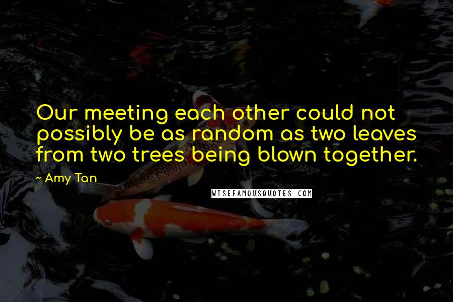 Amy Tan Quotes: Our meeting each other could not possibly be as random as two leaves from two trees being blown together.