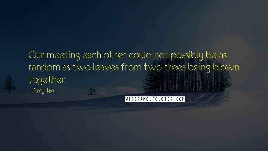 Amy Tan Quotes: Our meeting each other could not possibly be as random as two leaves from two trees being blown together.