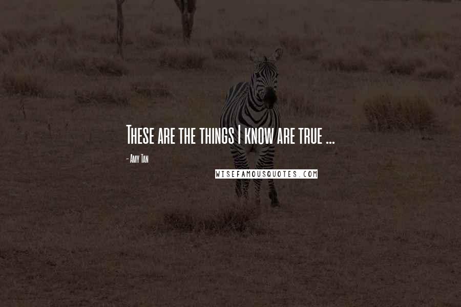 Amy Tan Quotes: These are the things I know are true ...