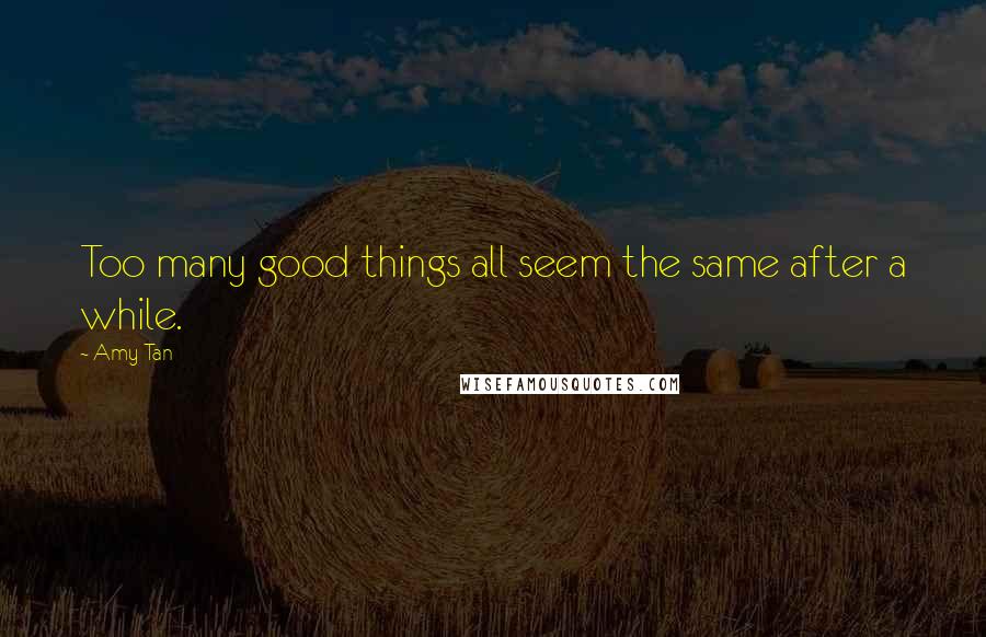 Amy Tan Quotes: Too many good things all seem the same after a while.