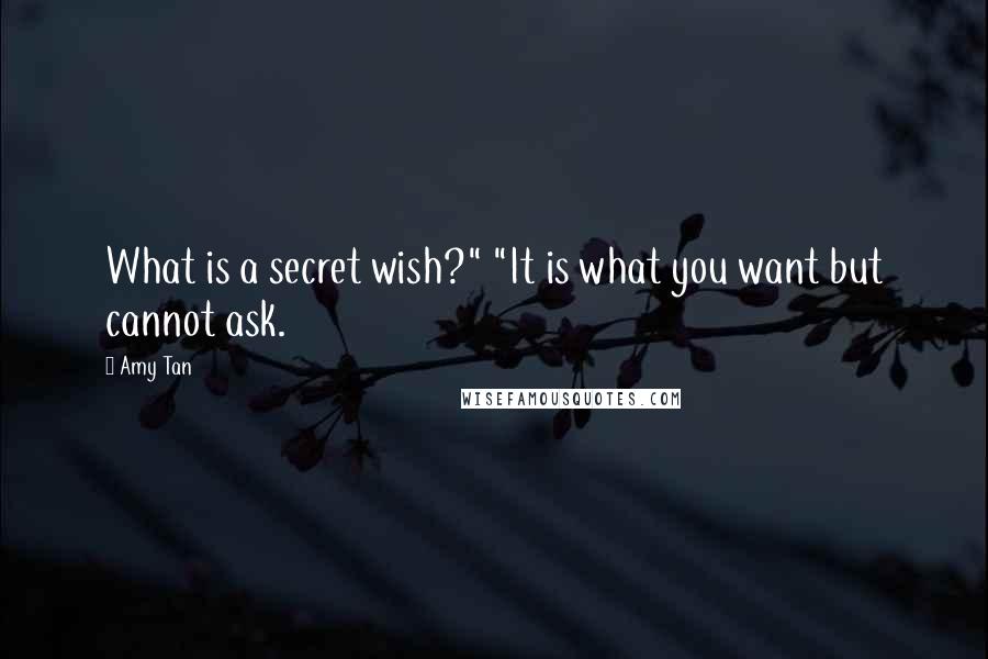 Amy Tan Quotes: What is a secret wish?" "It is what you want but cannot ask.