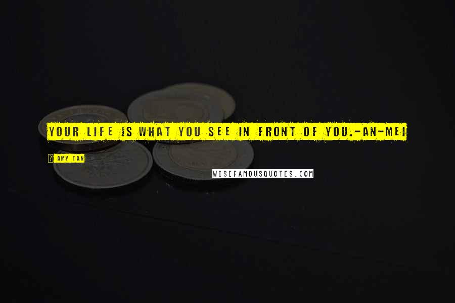 Amy Tan Quotes: Your life is what you see in front of you.-An-mei