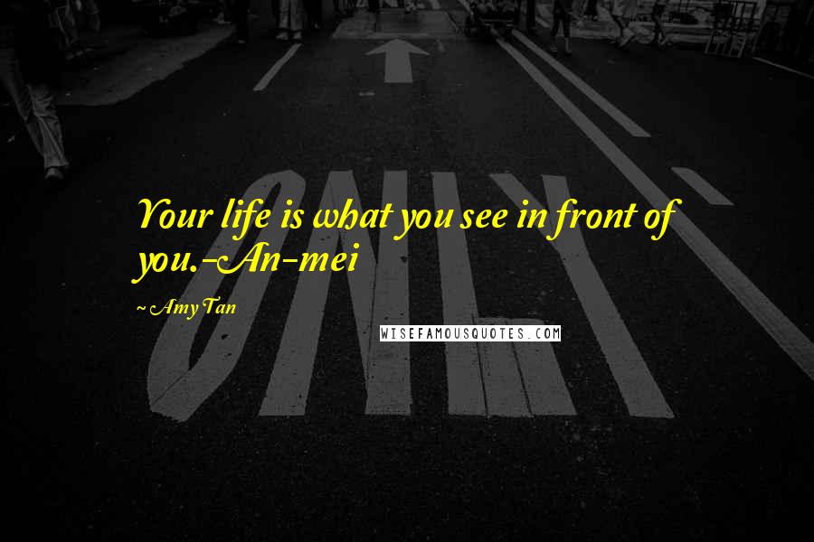 Amy Tan Quotes: Your life is what you see in front of you.-An-mei