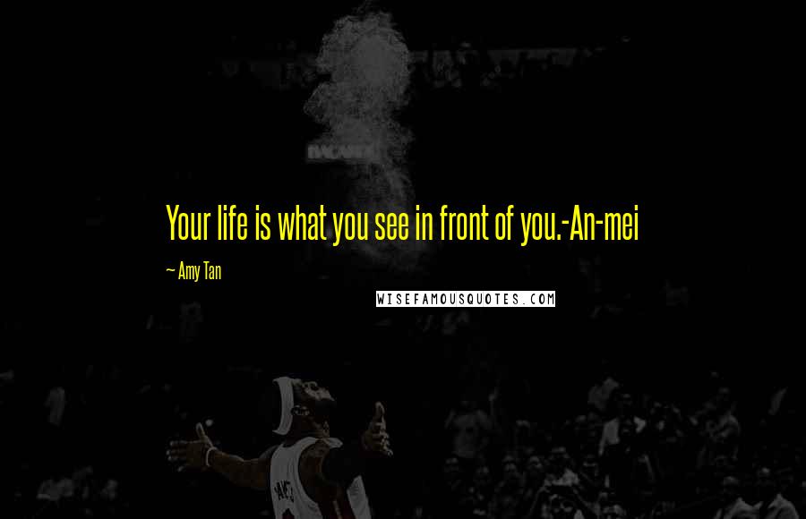 Amy Tan Quotes: Your life is what you see in front of you.-An-mei