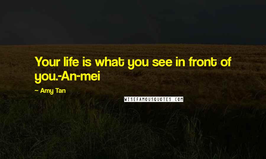 Amy Tan Quotes: Your life is what you see in front of you.-An-mei