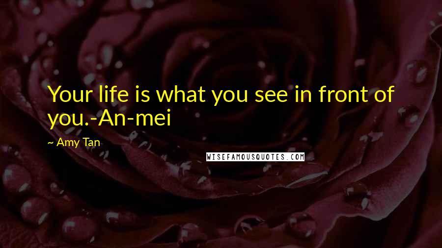 Amy Tan Quotes: Your life is what you see in front of you.-An-mei