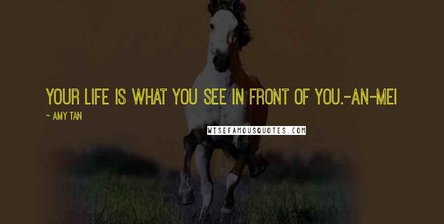 Amy Tan Quotes: Your life is what you see in front of you.-An-mei