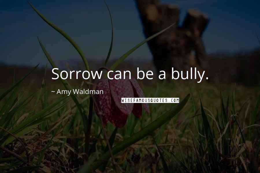 Amy Waldman Quotes: Sorrow can be a bully.