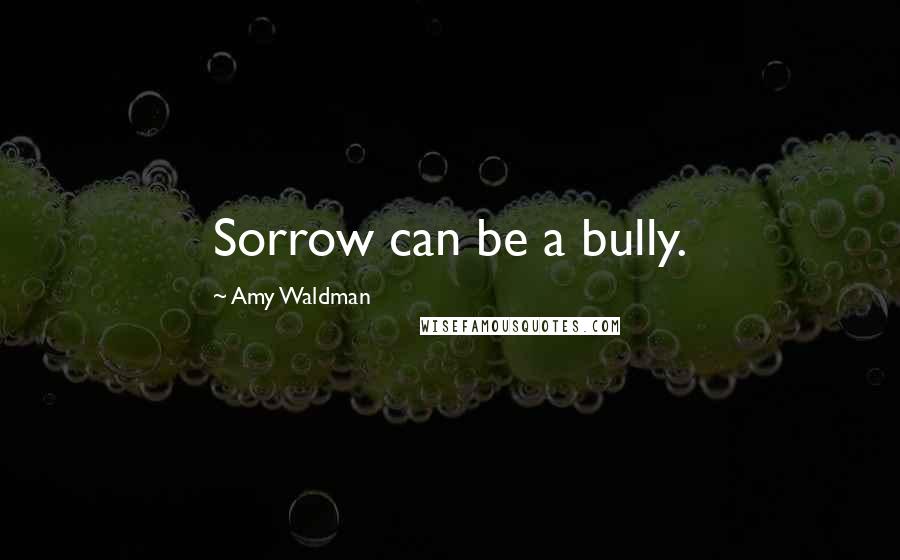 Amy Waldman Quotes: Sorrow can be a bully.