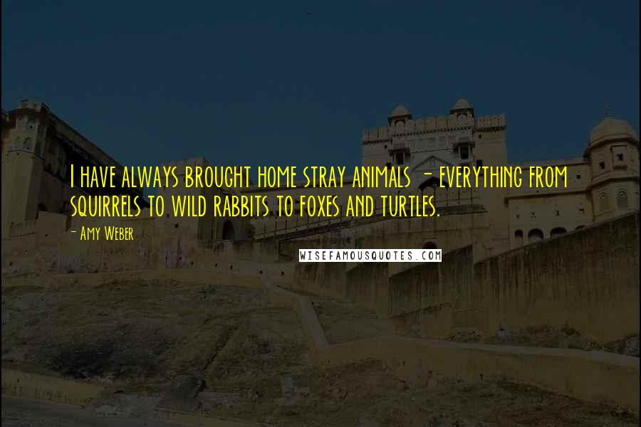 Amy Weber Quotes: I have always brought home stray animals - everything from squirrels to wild rabbits to foxes and turtles.