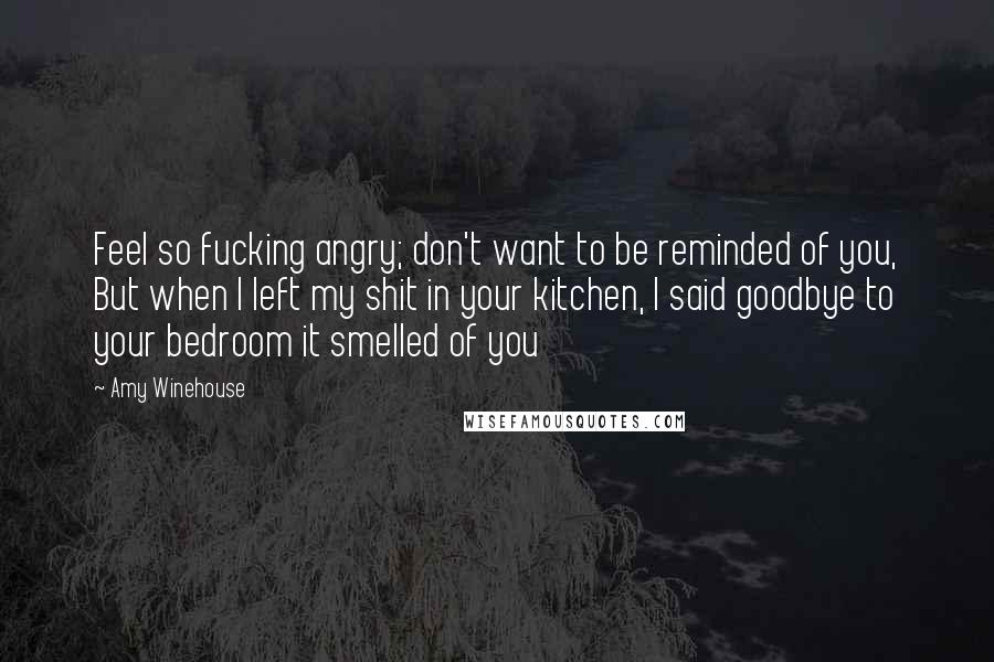 Amy Winehouse Quotes: Feel so fucking angry; don't want to be reminded of you, But when I left my shit in your kitchen, I said goodbye to your bedroom it smelled of you