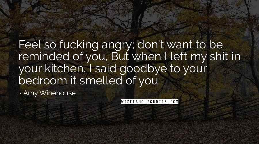 Amy Winehouse Quotes: Feel so fucking angry; don't want to be reminded of you, But when I left my shit in your kitchen, I said goodbye to your bedroom it smelled of you