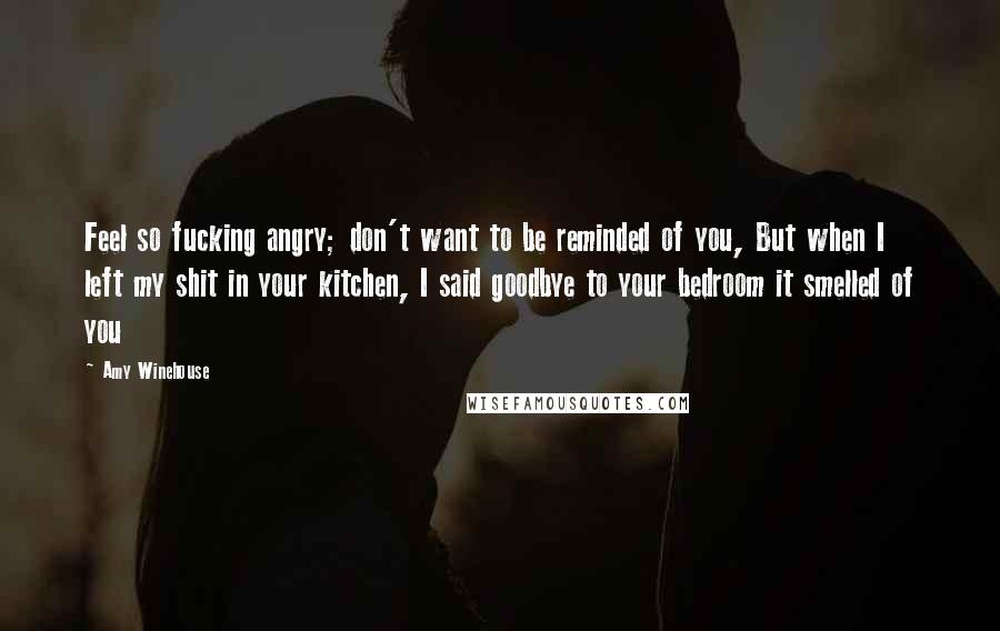 Amy Winehouse Quotes: Feel so fucking angry; don't want to be reminded of you, But when I left my shit in your kitchen, I said goodbye to your bedroom it smelled of you