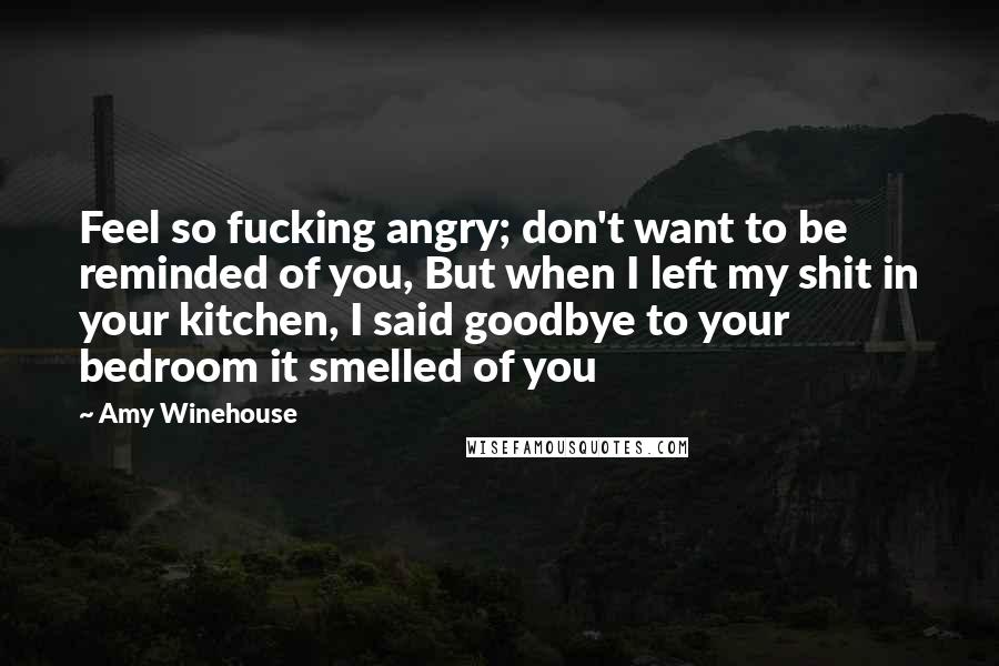 Amy Winehouse Quotes: Feel so fucking angry; don't want to be reminded of you, But when I left my shit in your kitchen, I said goodbye to your bedroom it smelled of you