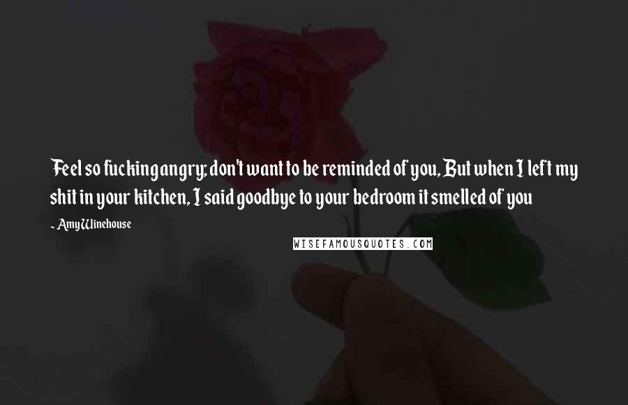 Amy Winehouse Quotes: Feel so fucking angry; don't want to be reminded of you, But when I left my shit in your kitchen, I said goodbye to your bedroom it smelled of you