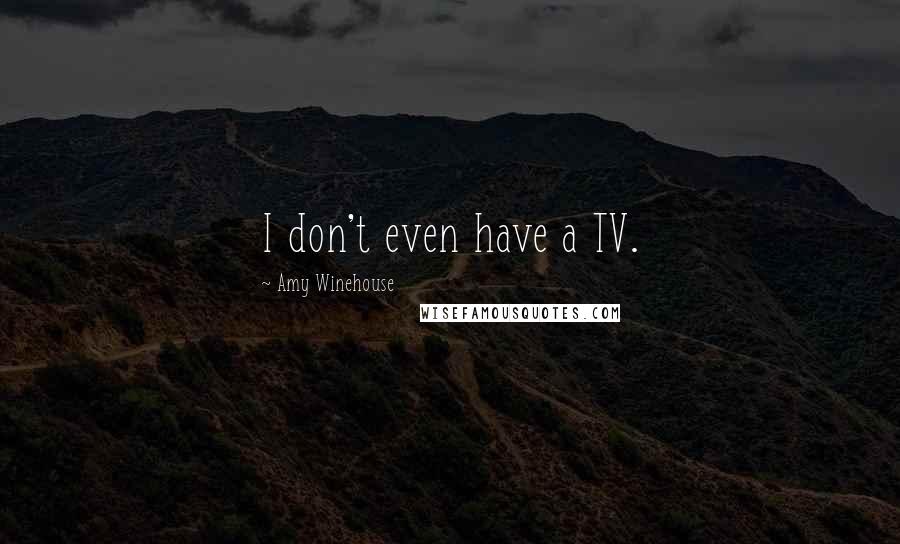 Amy Winehouse Quotes: I don't even have a TV.