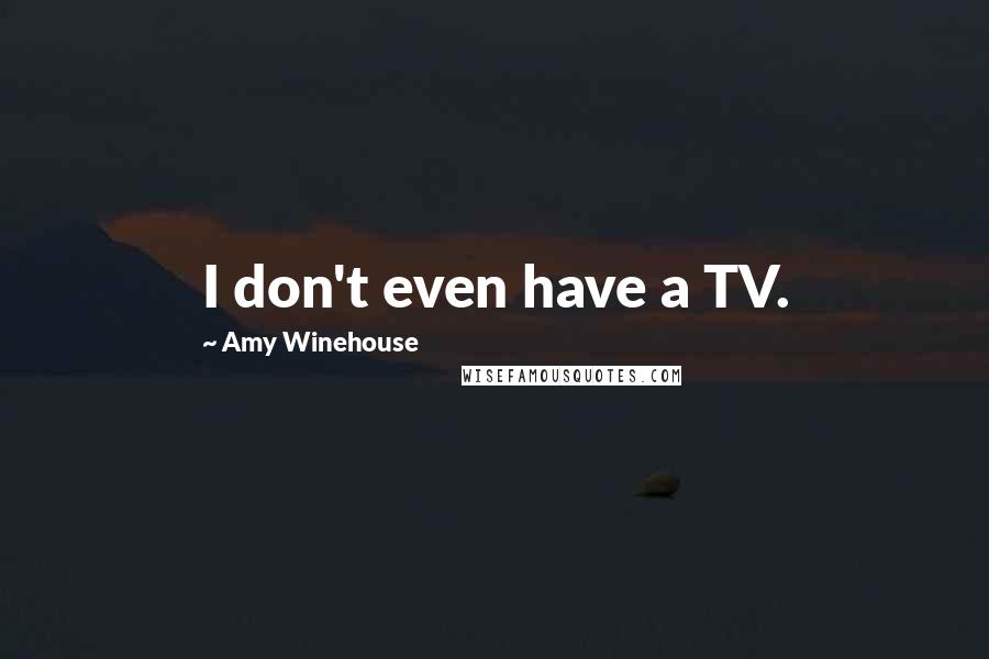 Amy Winehouse Quotes: I don't even have a TV.