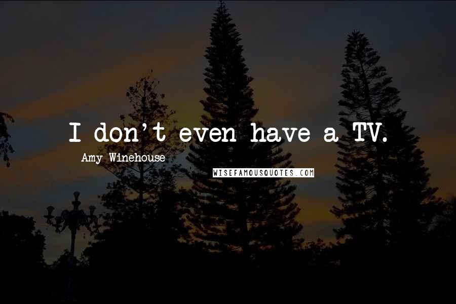 Amy Winehouse Quotes: I don't even have a TV.