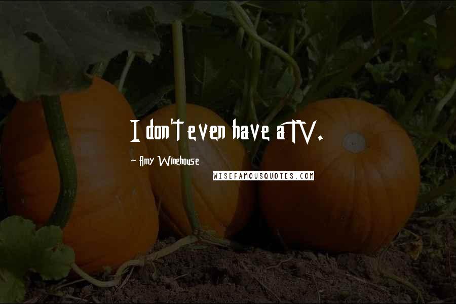 Amy Winehouse Quotes: I don't even have a TV.