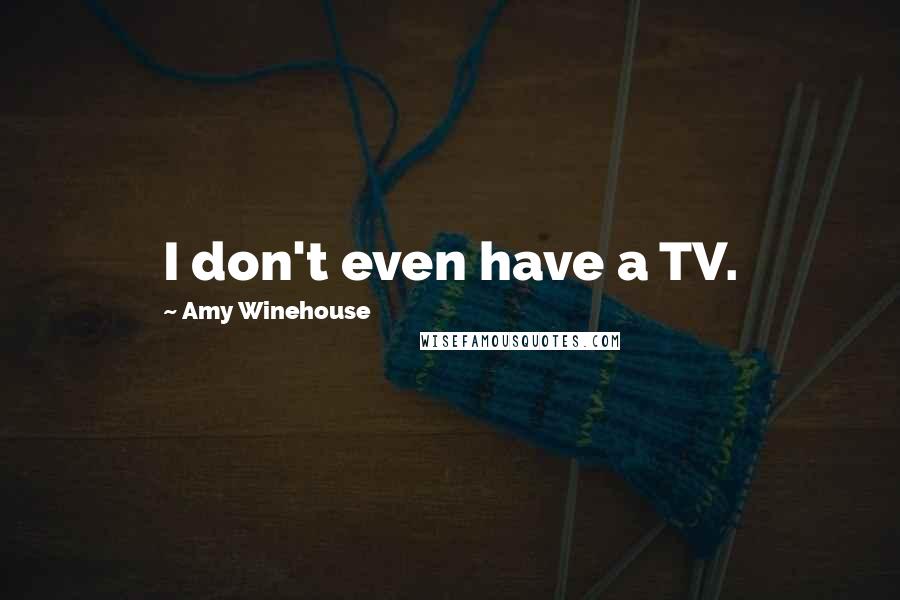 Amy Winehouse Quotes: I don't even have a TV.