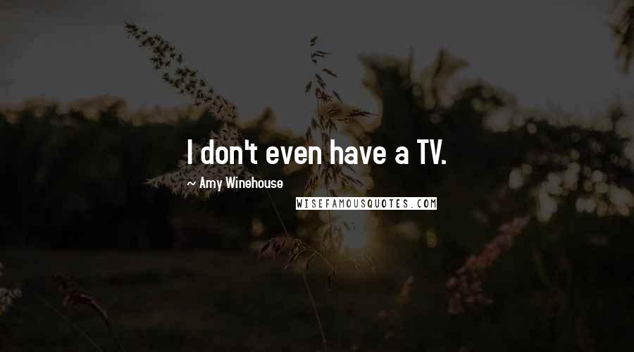 Amy Winehouse Quotes: I don't even have a TV.