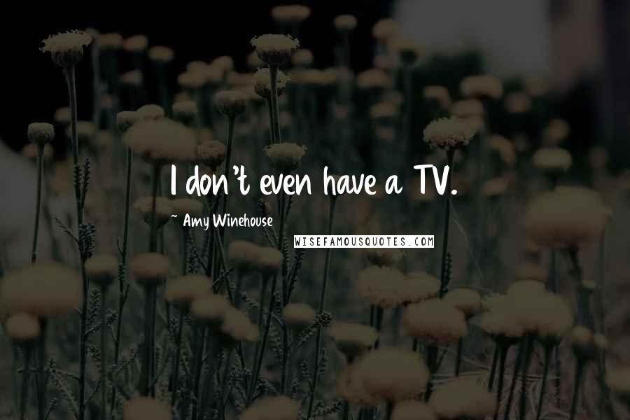 Amy Winehouse Quotes: I don't even have a TV.