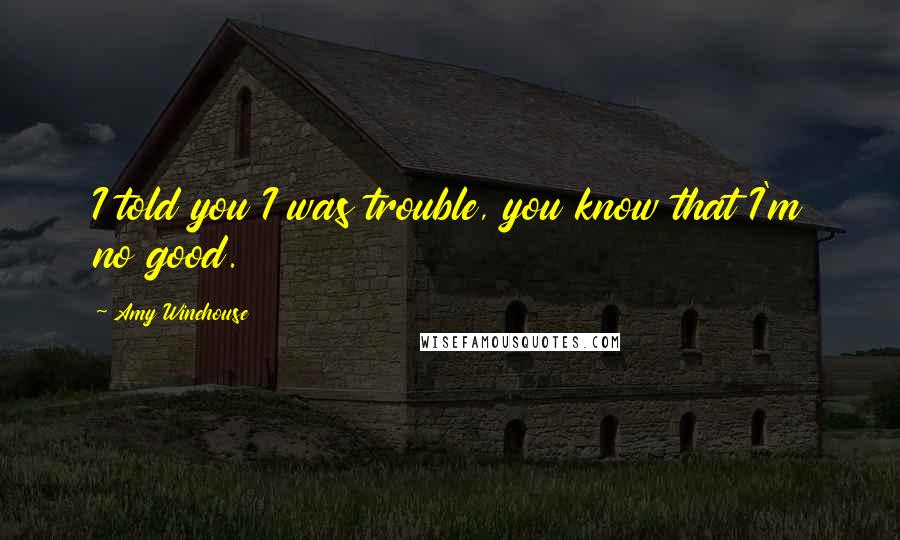 Amy Winehouse Quotes: I told you I was trouble, you know that I'm no good.