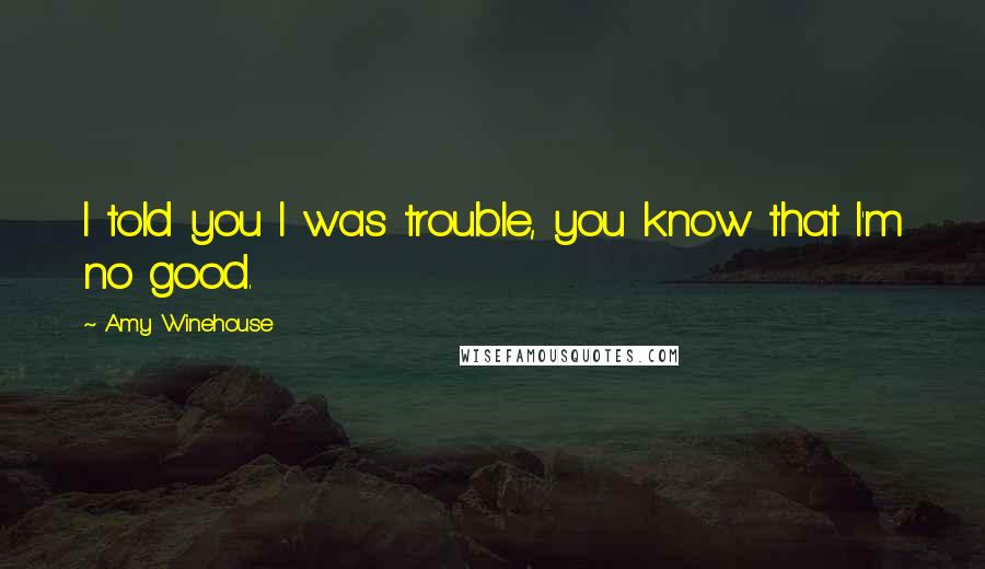 Amy Winehouse Quotes: I told you I was trouble, you know that I'm no good.