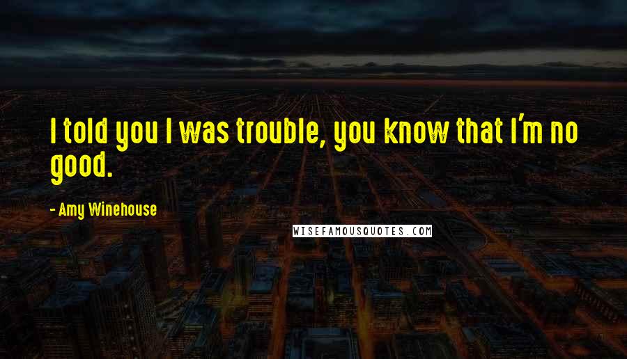 Amy Winehouse Quotes: I told you I was trouble, you know that I'm no good.